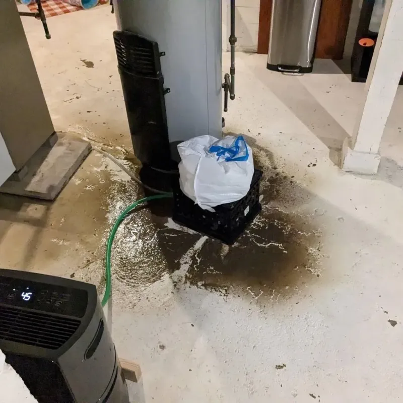 Sewage Backup Cleanup Service in Kennedy, CA